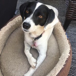 Meet your Posher, Cassandra